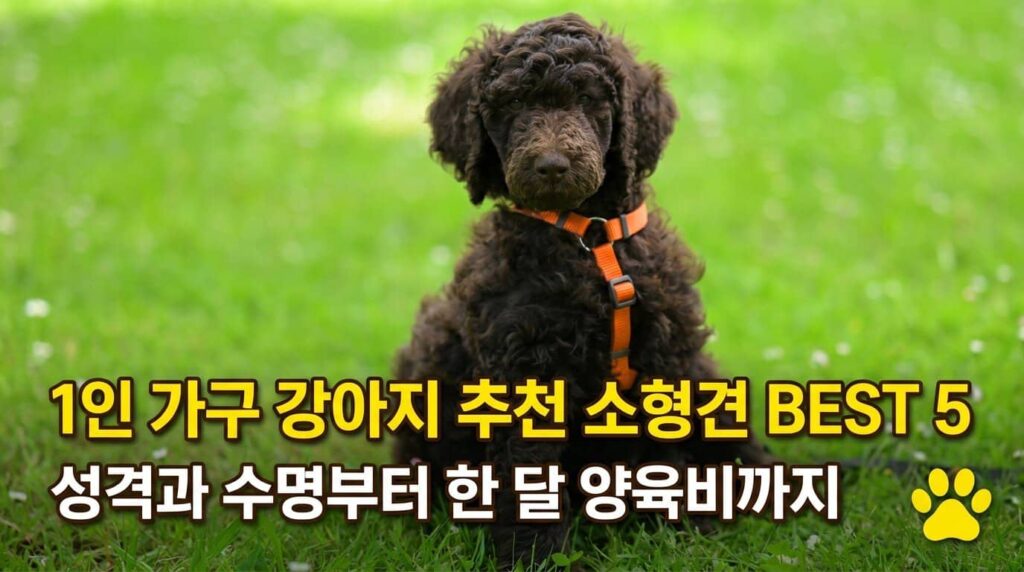 1인 가구 강아지 추천 소형견 BEST5 성격 수명 양육비