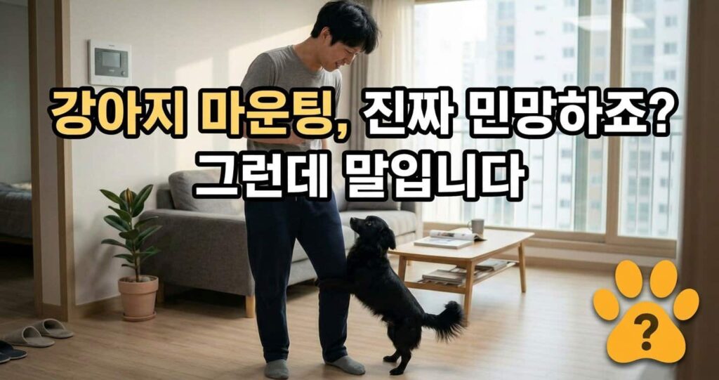 강아지 마운팅 진짜 이유 깜순이 중성화 행동교정