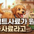 강아지 인섹트 사료 곤충사료 효능 알레르기 장점