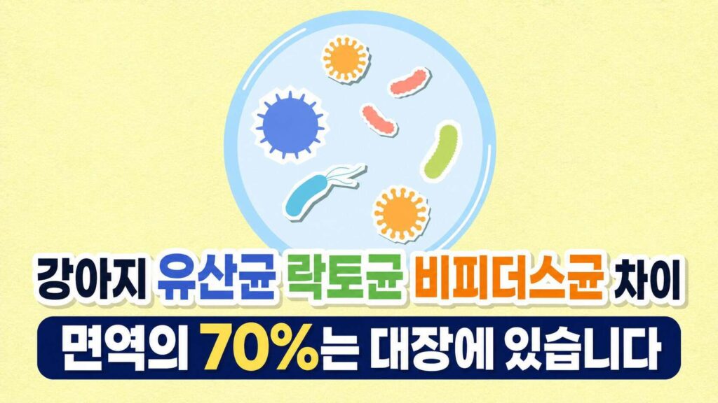 강아지 유산균 락토균 비피더스균 차이 면역