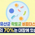 강아지 유산균 락토균 비피더스균 차이 면역