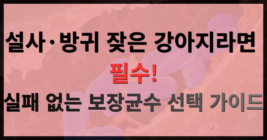 강아지 설사 방귀 잦으면 유산균 보장균수 선택 가이드