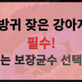 강아지 설사 방귀 잦으면 유산균 보장균수 선택 가이드