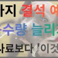 강아지 결석 예방 음수량 늘리기 사료보다 중요한 것