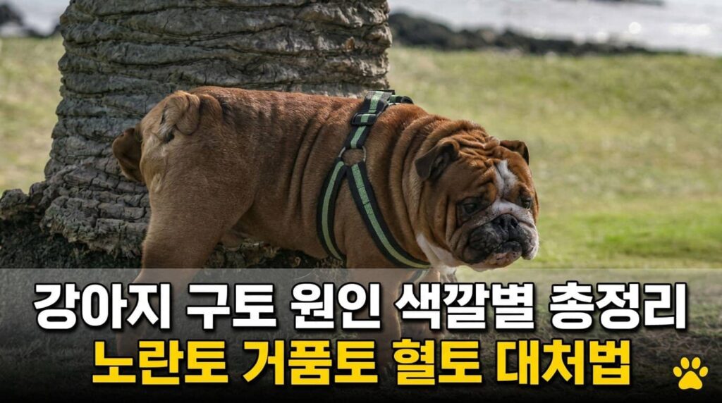 강아지 구토 원인 색깔별 총정리 노란토 거품토 혈토 대처법