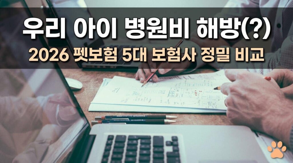 2026 펫보험 5대 보험사 정밀 비교 병원비 해방