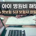 2026 펫보험 5대 보험사 정밀 비교 병원비 해방