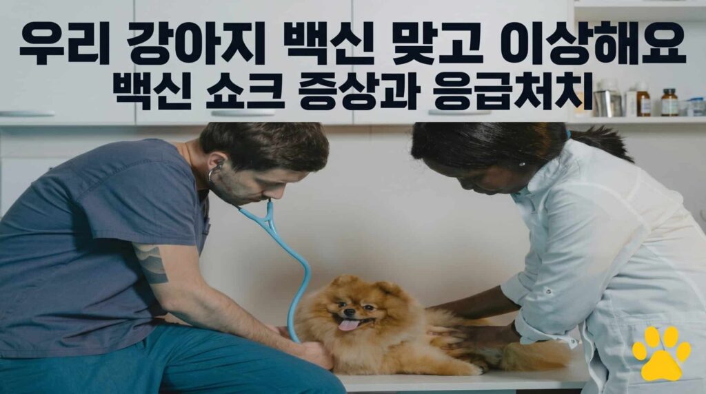 강아지 백신 맞고 이상해요 백신 쇼크 증상 응급처치