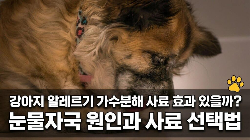 강아지 발바닥 핥는 이유 알레르기 가수분해 사료 눈물자국 선택법