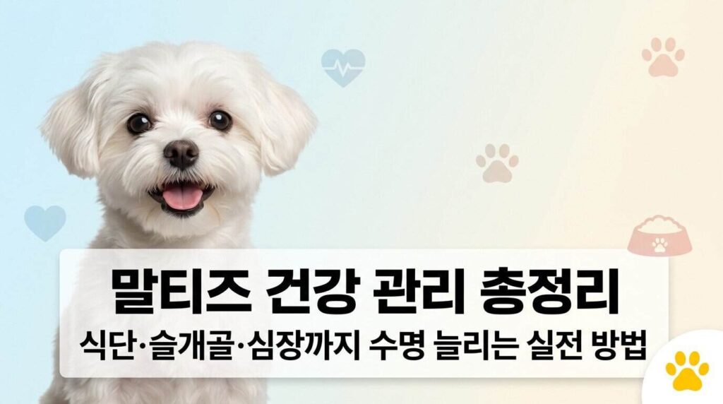 말티즈 건강 관리 총정리 식단 슬개골 심장 수명 늘리는 방법