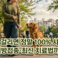 강아지 광견병 백신 예방접종 치료법 사망률