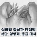 강아지 심장병 증상 단계별 관리 식단 영양제 응급대처