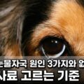 강아지 눈물자국 원인 3가지 없애는 법 눈물 사료 고르는 기준