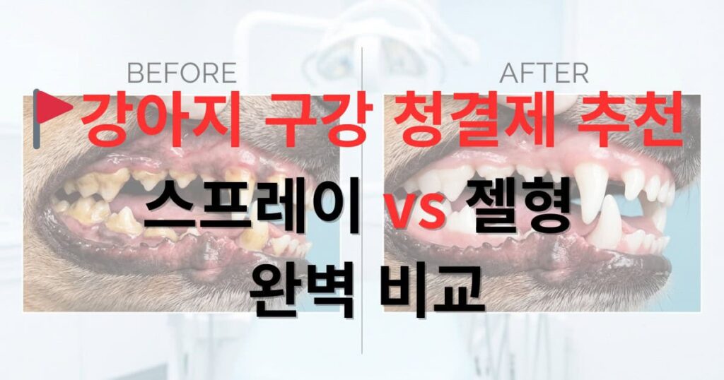 강아지 구강 청결제 스프레이 vs 젤형 완벽 비교 추천