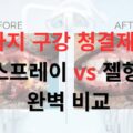 강아지 구강 청결제 스프레이 vs 젤형 완벽 비교 추천