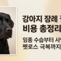 강아지 장례 절차 비용 총정리 임종 수습 펫로스
