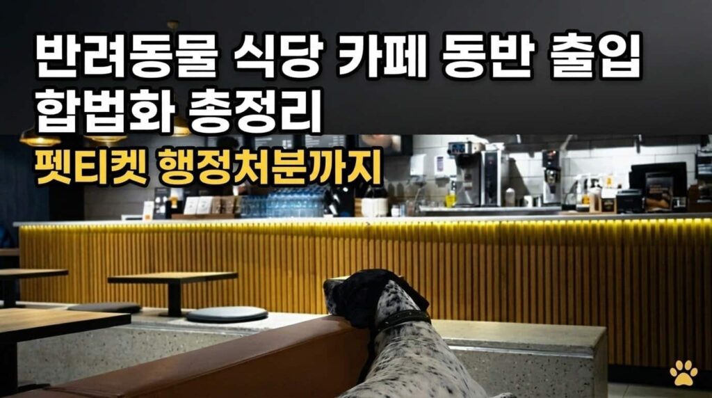 반려동물 식당 카페 동반출입 합법화 펫티켓 행정처벌