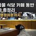 반려동물 식당 카페 동반출입 합법화 펫티켓 행정처벌