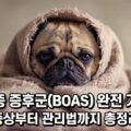 강아지 단두종 증후군 BOAS 증상 관리법 퍼그 불독