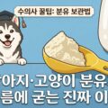 강아지 고양이 분유가 여름에 굳는 진짜 이유