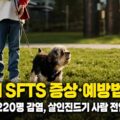 강아지 SFTS 증상 예방법 총정리 - 2025년 220명 감염, 살인진드기 사람 전염 사례 안내 썸네일