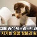 강아지 치매 증상 체크리스트 예방법 뇌 건강 영양 성분 관리