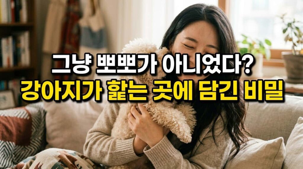 강아지 핥는 이유 뻔한게 아니다 행동 심리 비밀