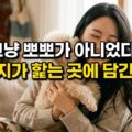 강아지 핥는 이유 뻔한게 아니다 행동 심리 비밀