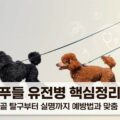 푸들 유전병 핵심정리 슬개골 탈구 실명 예방법 맞춤 식단