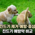 강아지 진드기 제거 예방 증상 총정리 진드기 예방약 비교