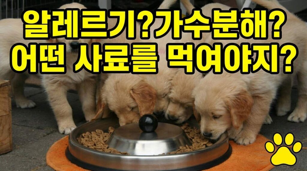 강아지 알레르기 가수분해 사료 선택 기준 추천