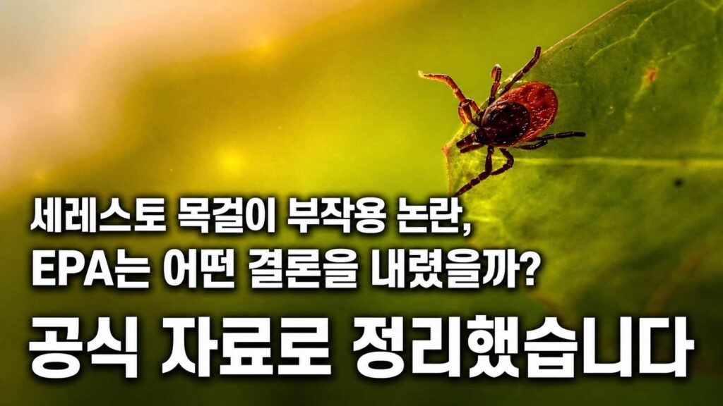 세레스토 목걸이 부작용 논란 EPA 결론 공식 자료 정리 — 진드기 접사 이미지