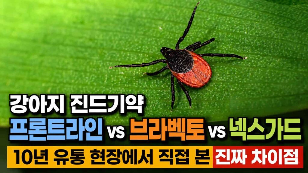 강아지 진드기약 프론트라인 브라벡토 넥스가드 비교