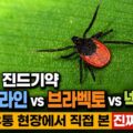 강아지 진드기약 프론트라인 브라벡토 넥스가드 비교