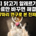 강아지 닭고기 알레르기, 사료만 바꾸면 해결될까? 297마리 연구로 본 진짜 원인
