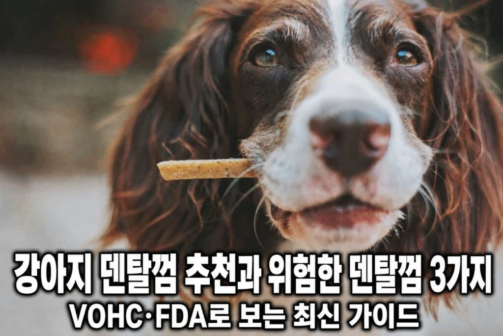 수의사가 경고하는 위험한 강아지 껌 3가지의 부작용 실태와 안전한 개껌 고르는 법을 다룬 블로그 대표 썸네일 이미지