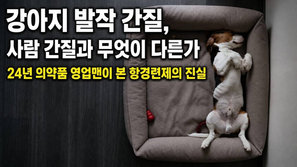 강아지 간질 가이드 - 사람 간질과의 차이와 24년 의약품 영업맨이 본 항경련제의 진실