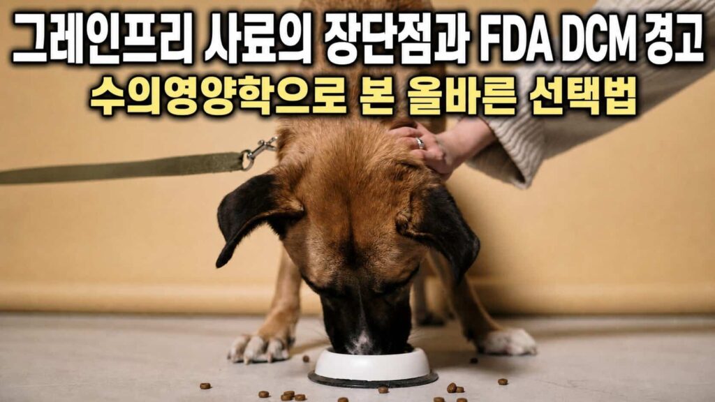 그레인프리 사료 장단점과 FDA DCM 경고