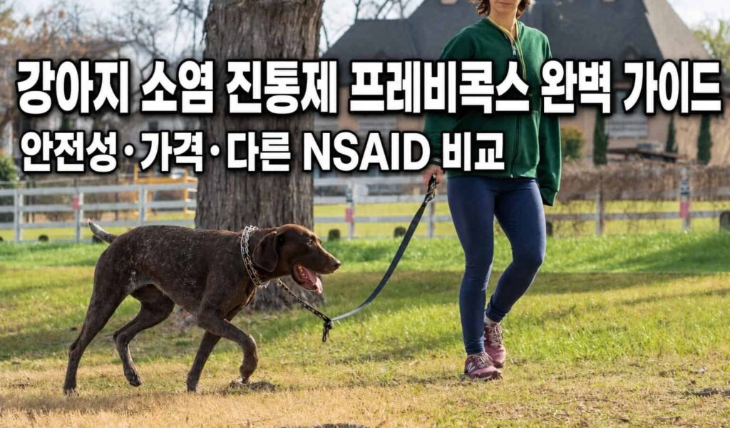 강아지 소염진통제 프레비콕스 완벽 가이드 - 안전성, 가격, 다른 NSAID 비교를 다룬 글의 대표 이미지
