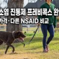 강아지 소염진통제 프레비콕스 완벽 가이드 - 안전성, 가격, 다른 NSAID 비교를 다룬 글의 대표 이미지