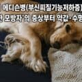 기운 없이 엎드려 있는 강아지, 에디슨병의 대표 증상인 무기력