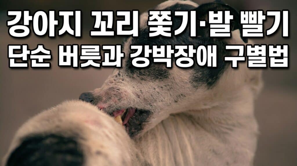 강아지 꼬리 쫓기 발 빨기 단순 버릇과 강박장애 구별법