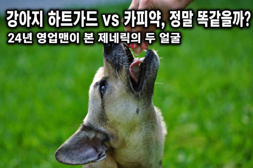 강아지 하트가드 vs 카피약 정말 똑같을까, 24년 영업맨이 본 제네릭의 두 얼굴