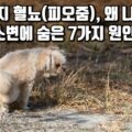 길가 풀밭에서 소변을 보는 강아지 - 강아지 혈뇨(피오줌) 원인 7가지 총정리