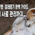 강아지가 몸을 긁는 모습, 피부병과 알레르기 증상