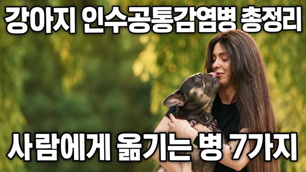 강아지를 안고 있는 보호자, 강아지가 사람에게 옮기는 인수공통감염병 총정리 썸네일