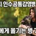 강아지를 안고 있는 보호자, 강아지가 사람에게 옮기는 인수공통감염병 총정리 썸네일