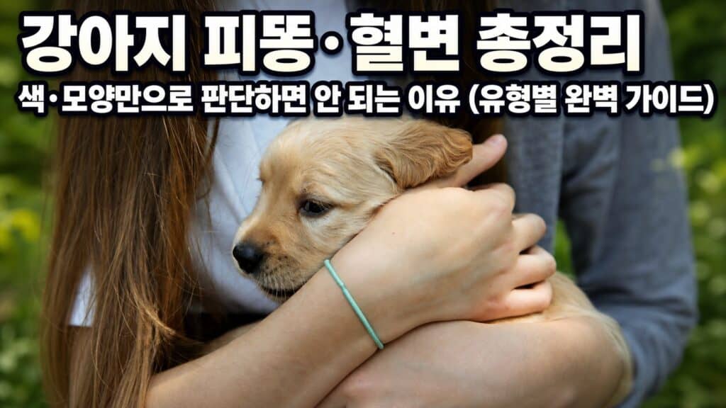 보호자가 두 손으로 작은 강아지를 감싸 안고 있는 모습, 강아지 피똥·혈변 건강 관리