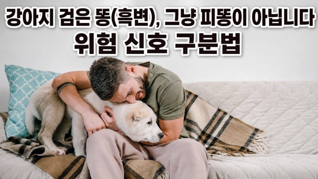 강아지 검은 똥(흑변)을 걱정스럽게 살펴보는 보호자