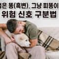 강아지 검은 똥(흑변)을 걱정스럽게 살펴보는 보호자